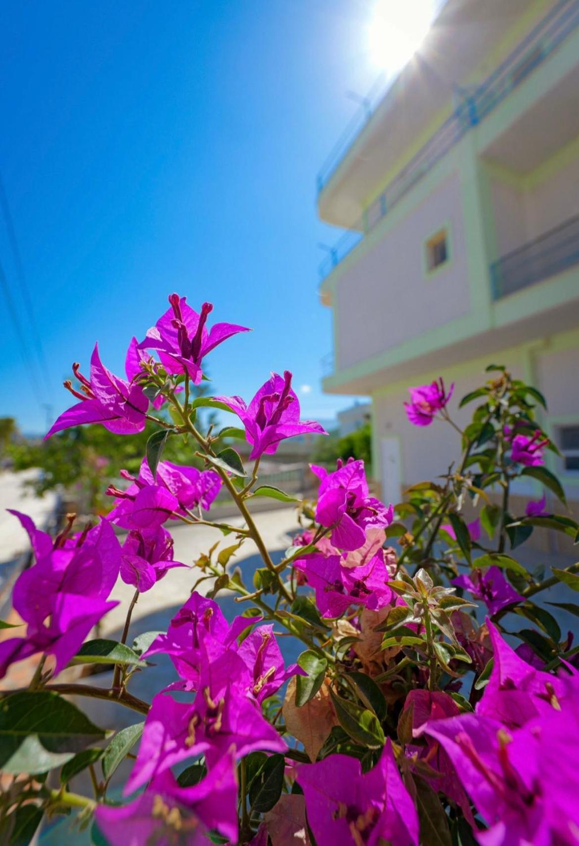 Sunflower Hotel Ksamil Esterno foto