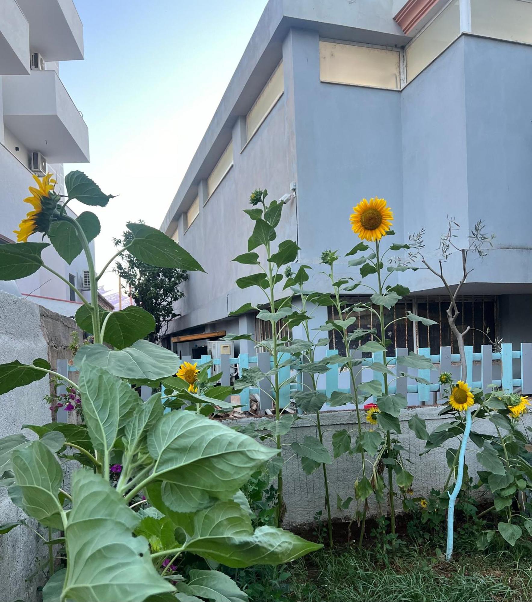 Sunflower Hotel Ksamil Esterno foto